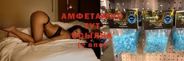 альфа пвп Медвежьегорск