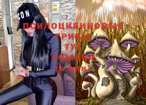 мдма Михайлов
